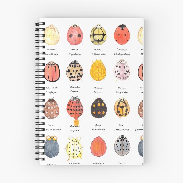 Item preview, Ladybird, Ladybird designed and sold by wiccked.