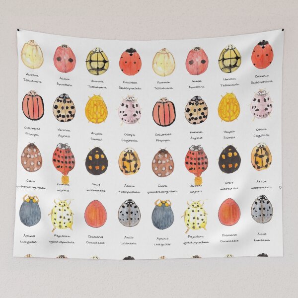 Item preview, Ladybird, Ladybird designed and sold by wiccked.