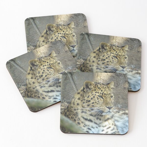 Item preview, Beautiful Amur Leopard  designed and sold by KcsArt87.