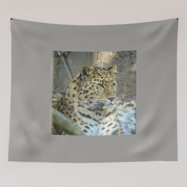 Item preview, Beautiful Amur Leopard  designed and sold by KcsArt87.