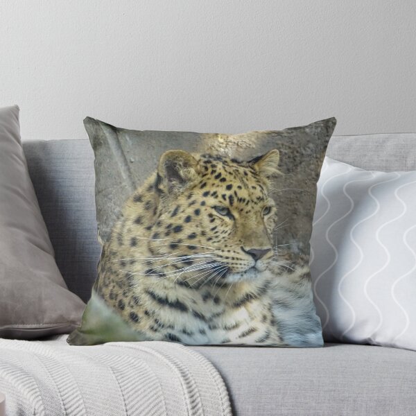 Item preview, Beautiful Amur Leopard  designed and sold by KcsArt87.
