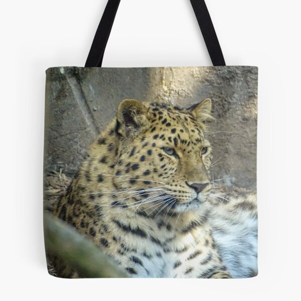 Item preview, Beautiful Amur Leopard  designed and sold by KcsArt87.
