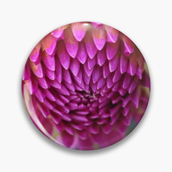 Item preview, Dahlias Face designed and sold by Joy Watson - Natural Light Photography .