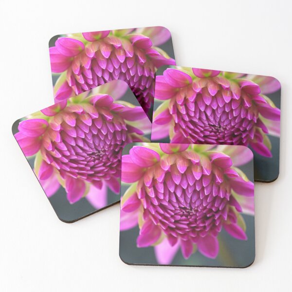 Item preview, Dahlias Face designed and sold by Joy Watson - Natural Light Photography .