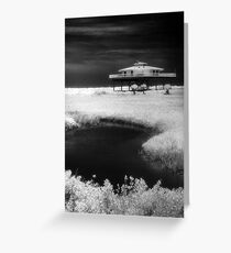 Alone on Stilts Greeting Card