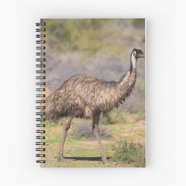 Item preview, The Emu designed and sold by Jade Welch.