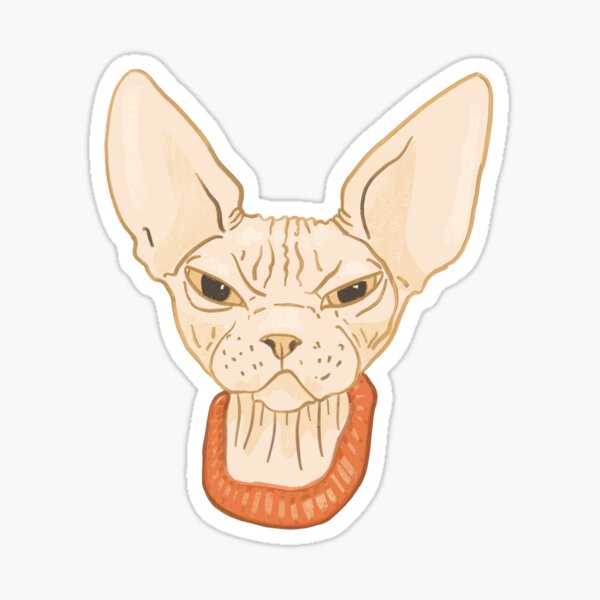 Angry Gray Sphynx Cat Meme Grumpy Sticker · Creative Fabrica