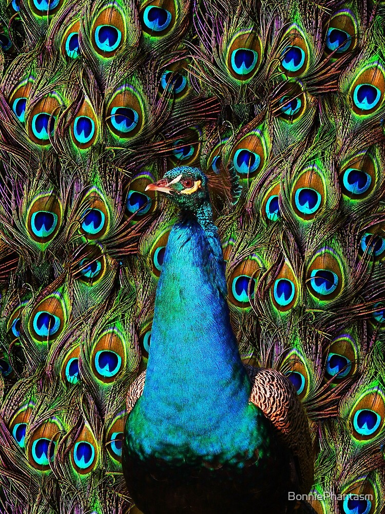 This peacock is watching you! Poster for Sale by BonniePhantasm