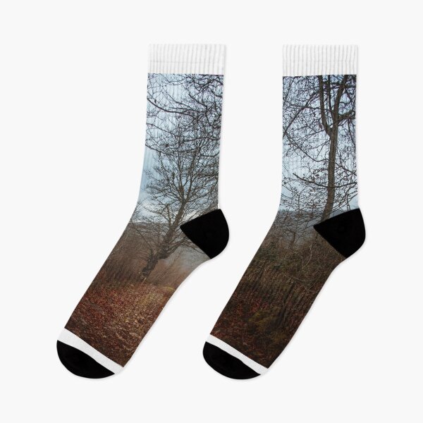 Item preview, Forest in autumn designed and sold by MarioGuti.