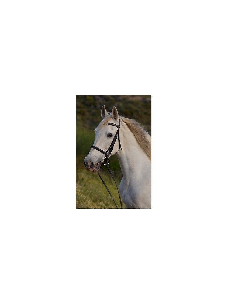 Pieper by CaballoBlanco