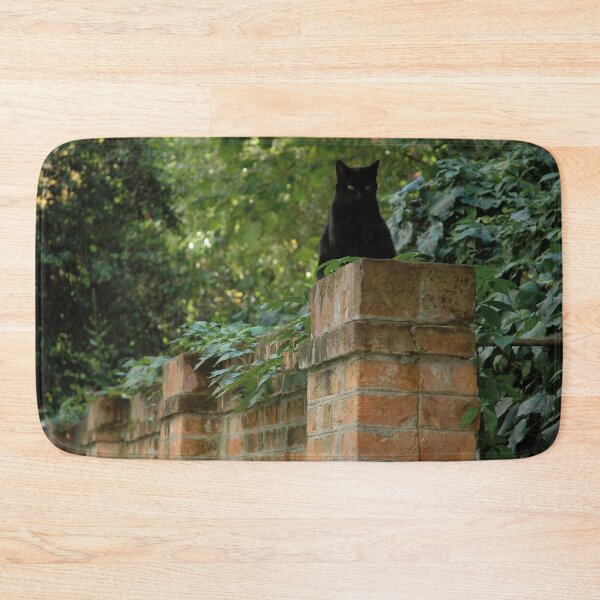 Item preview, Zorro on his wall designed and sold by Nerone.