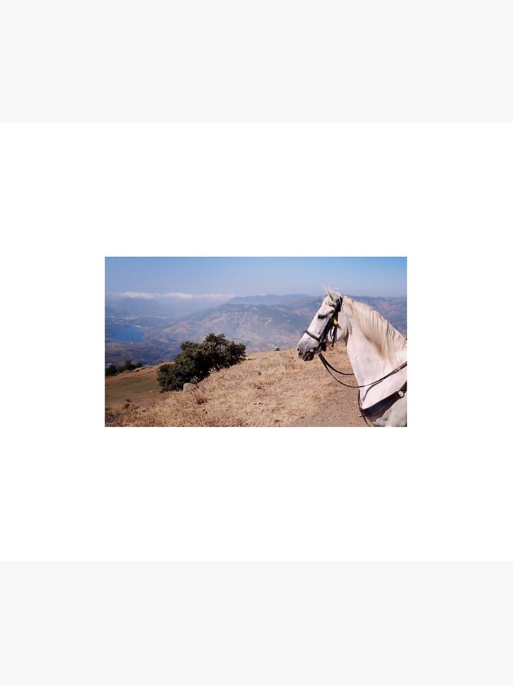 Pieper enjoying the Andalucian mountain view by CaballoBlanco