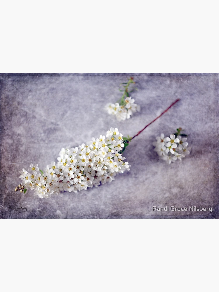 Thumbnail 3 of 3, Poster, Spring Never Fails designed and sold by Randi Grace Nilsberg.
