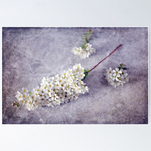 Item preview, Spring Never Fails designed and sold by Randi Grace Nilsberg.