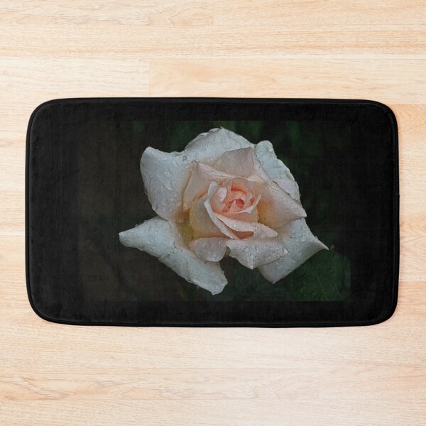 Artikelvorschau, Weiße Rose und Rosa auf schwarzem Hintergrund entworfen und verkauft von philippe souvy.