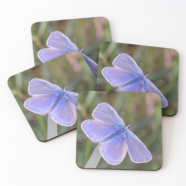 Item preview, Common blue butterfly designed and sold by iCimages.net.