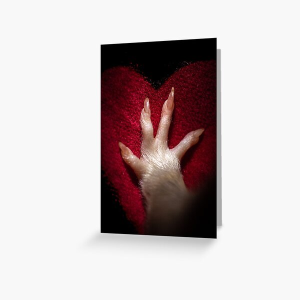 Ratty love Greeting Card