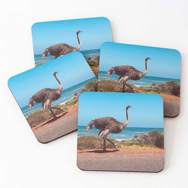 Item preview, Ostrich in South Africa designed and sold by Nadinski76.