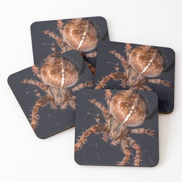Item preview, Garden orb spider designed and sold by iCimages.net.