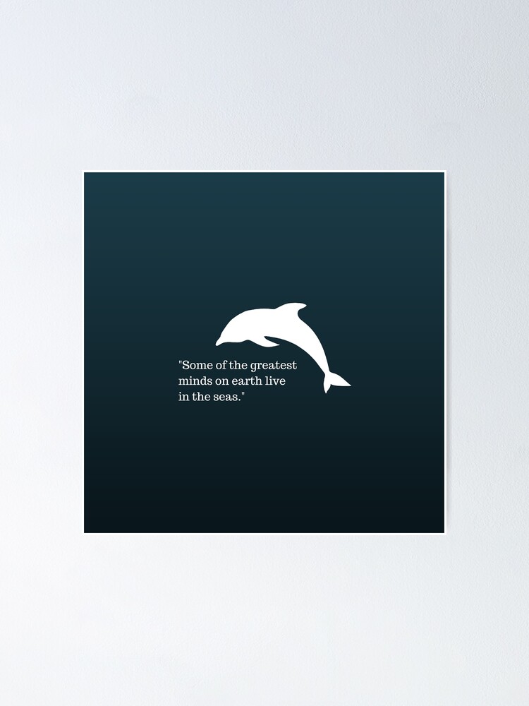 Delphin Zitat Poster Von Shabzdesigns Redbubble