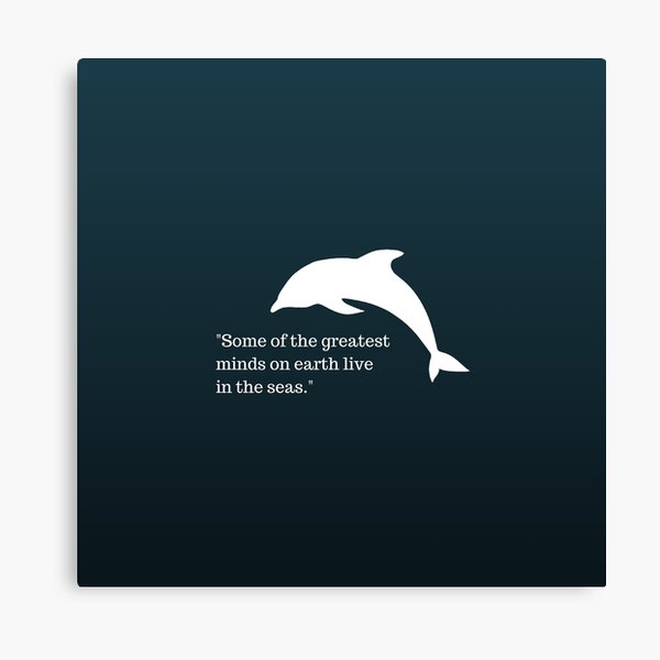 Dolphin Quotes Canvas Prints for Sale