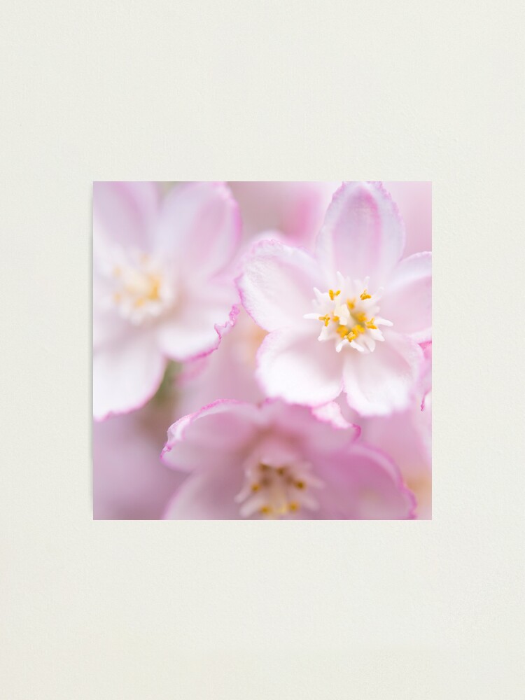 Alternate view of Day 318 - 23rd May 2012 Photographic Print