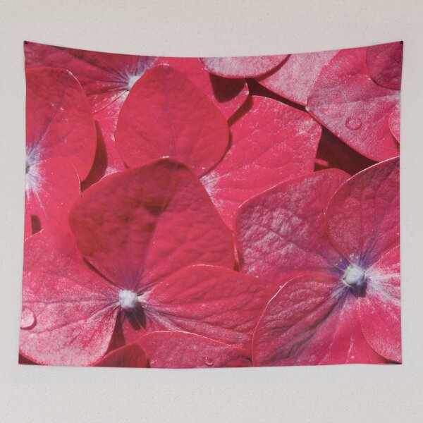 Item preview, Hydrangea closeup designed and sold by Gaspar Avila.
