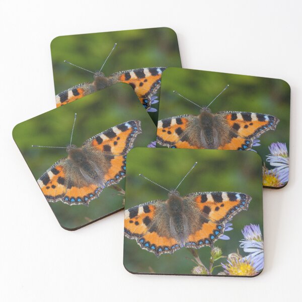 Item preview, Common tortoiseshell butterfly on a leaf in the summer.  designed and sold by iCimages.net.