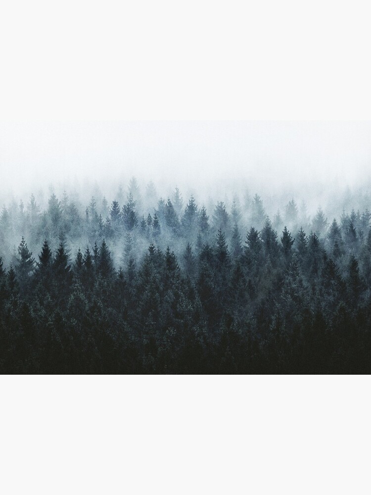 High And Low by tekay