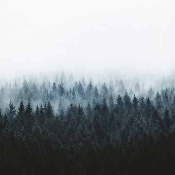 Artwork thumbnail, High And Low // Dark Romantasy Moody Wilderness Dream Forest With Cascadia Trees Covered In Fog by Tordis Kayma