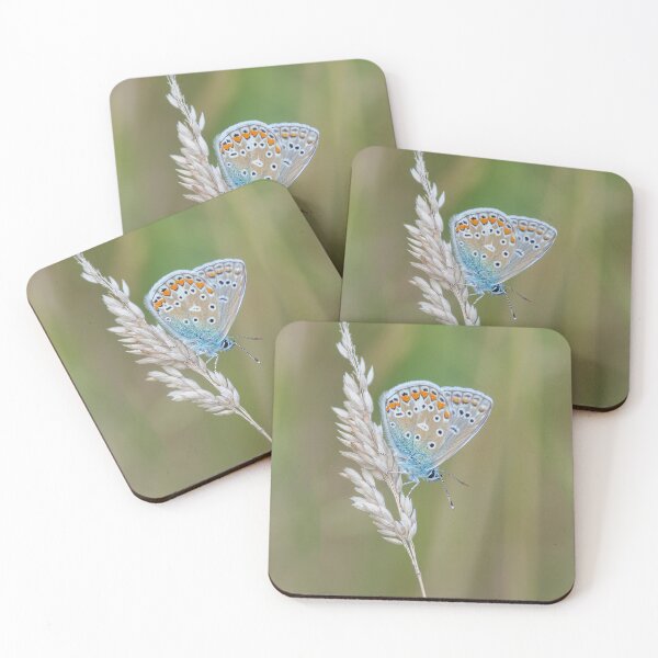 Item preview, Common blue butterfly on summer grass designed and sold by iCimages.net.