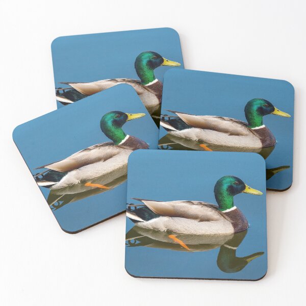Item preview, Mallard drake duck on pond designed and sold by iCimages.net.