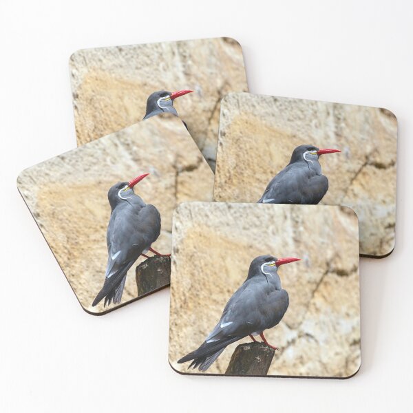 Item preview, Inca Tern Perched on a Branch designed and sold by MarkUK97.