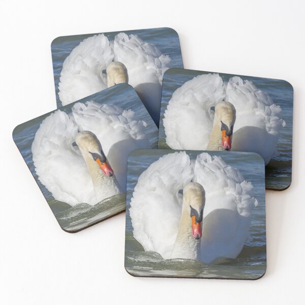 Item preview, Male mute white swan. designed and sold by iCimages.net.