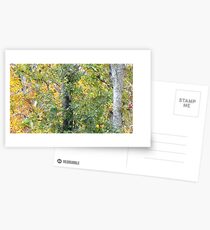 Foilage Postcards