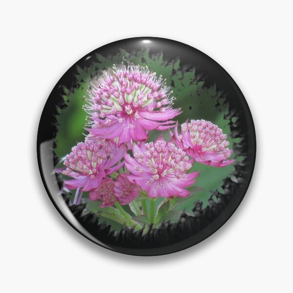 Item preview, wonderful pink star-umbels, flowers, flowers, pink, pink designed and sold by rhnaturestyles.
