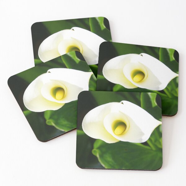 Item preview, Special Lilly designed and sold by Penny Kittel.