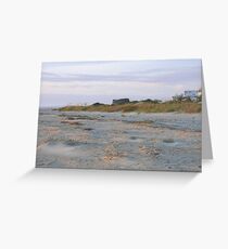 South Carolina beach scene Greeting Card