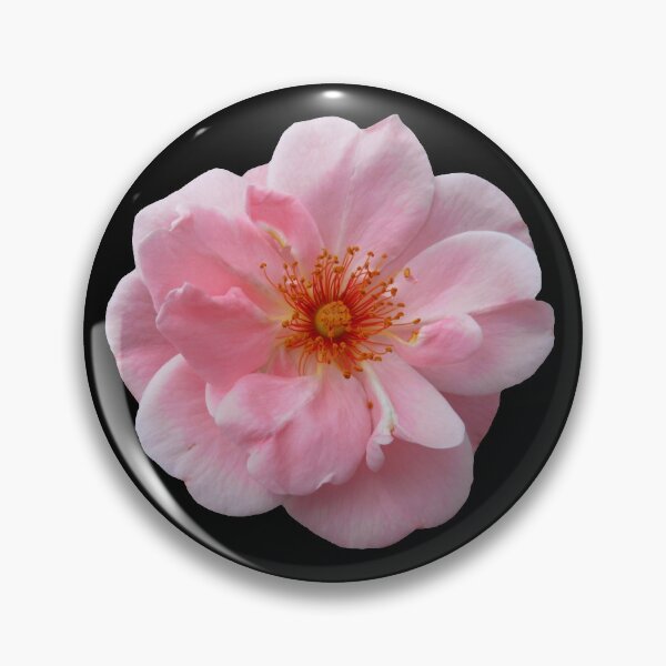 Item preview, wonderful pink rose, roses designed and sold by rhnaturestyles.