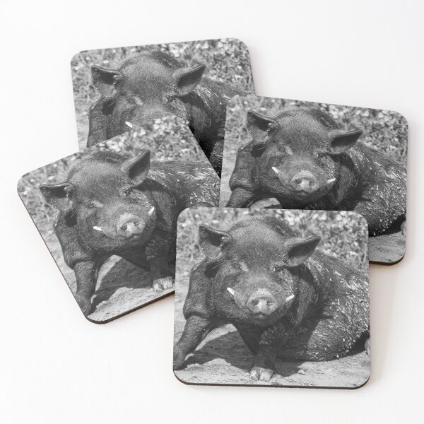 Item preview, Pig wallowing in mud designed and sold by iCimages.net.