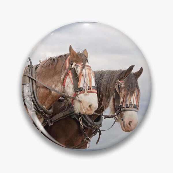 Item preview, Best Mates designed and sold by Linda Lees.