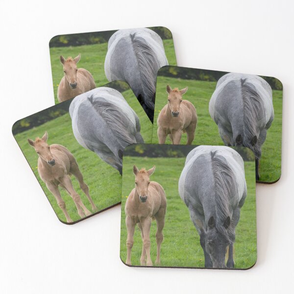 Item preview, Mare and foal in a field designed and sold by iCimages.net.