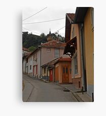 Pink house Canvas Print