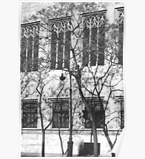 Streetscape Poster