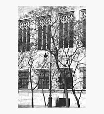 Streetscape Photographic Print