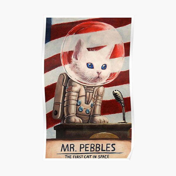 MR PEBBLES - High Quality Poster