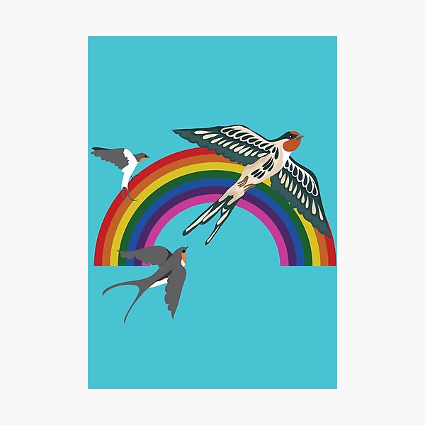 Sparrows and Rainbows Photographic Print