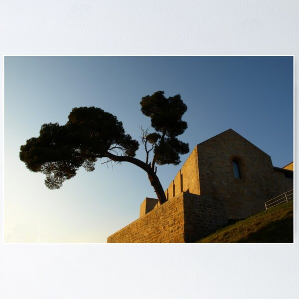 Item preview, The Old City Tree designed and sold by photoshot44.
