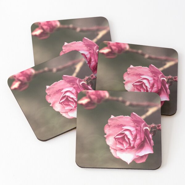 Item preview, Beauty is a Light in the Heart designed and sold by Linda Lees.