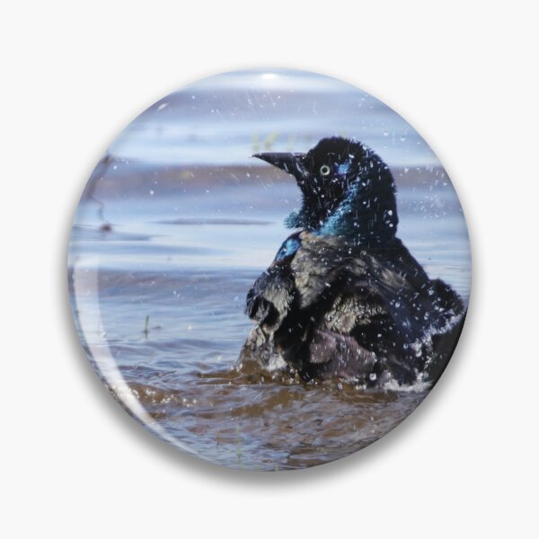 Item preview, Splashing Grackle designed and sold by Alyce Taylor.